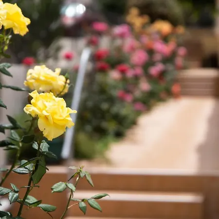 Dreamy Holidays * La Canea