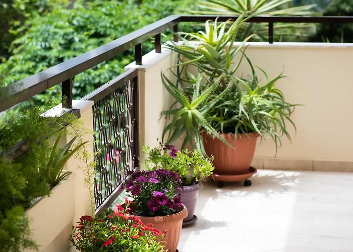 Dreamy Holidays Apartment