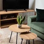 Apartment Dreamy Holidays