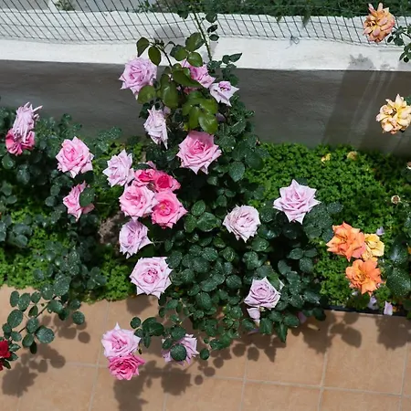 Dreamy Holidays Lejlighed