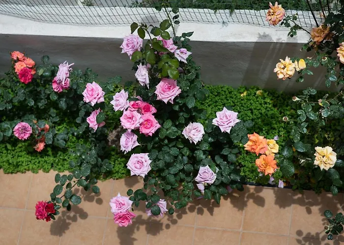 Dreamy Holidays Апартаменты