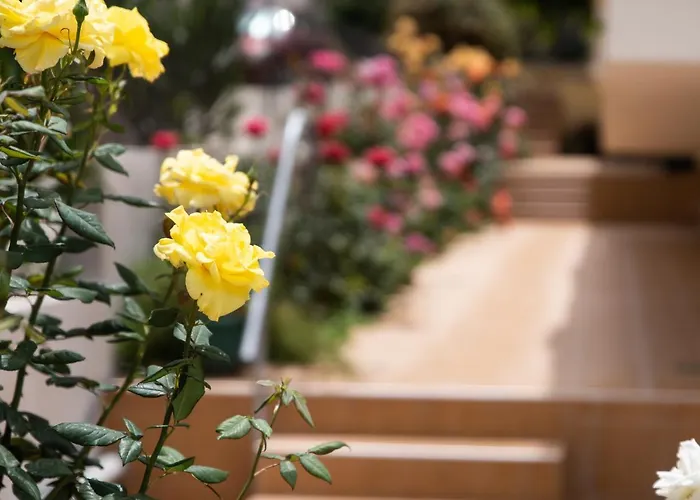 Dreamy Holidays * Ханья