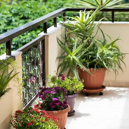 Dreamy Holidays Διαμέρισμα